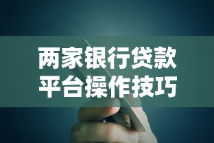 两家银行贷款平台操作技巧：申请攻略与风险规避