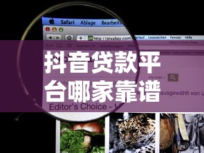 抖音贷款平台哪家靠谱？2023年精选5大平台对比评测