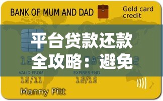 平台贷款还款全攻略：避免逾期的正确操作流程