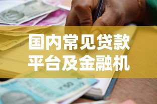 国内常见贷款平台及金融机构推荐指南