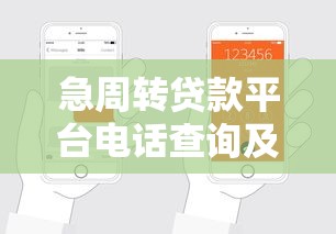 急周转贷款平台电话查询及申请指南