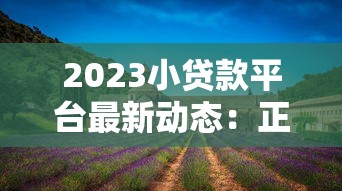 2023小贷款平台最新动态：正规平台推荐与避坑指南