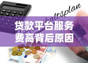 贷款平台服务费高背后原因及应对指南