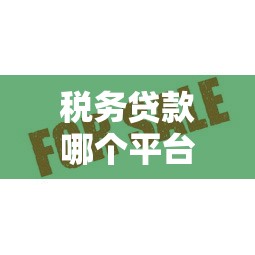 税务贷款哪个平台好贷点？这5家机构审批快、额度高