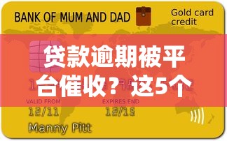贷款逾期被平台催收？这5个应对方法你一定要知道