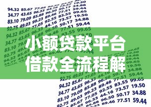 小额贷款平台借款全流程解析及避坑指南