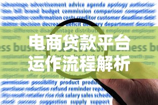 电商贷款平台运作流程解析：从申请到放款全指南