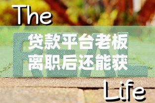 贷款平台老板离职后还能获取用户信息吗？深度解析隐私保护机制