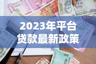 2023年平台贷款最新政策解读与申请指南