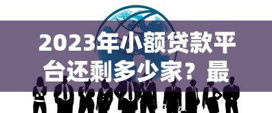 2023年小额贷款平台还剩多少家？最新数据与行业趋势解读