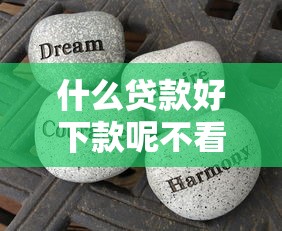 什么贷款好下款呢不看征信？这些渠道实测有效