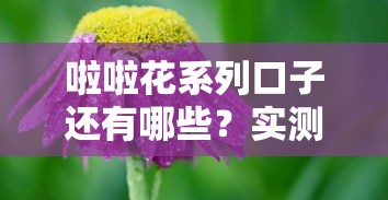 啦啦花系列口子还有哪些？实测盘点这几个靠谱平台