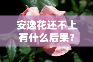 安逸花还不上有什么后果？这几个坑可能让你后悔