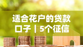 适合花户的贷款口子｜5个征信花也能下款的良心平台