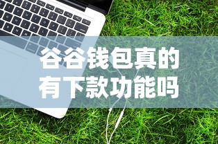 谷谷钱包真的有下款功能吗？实测三大核心细节揭秘