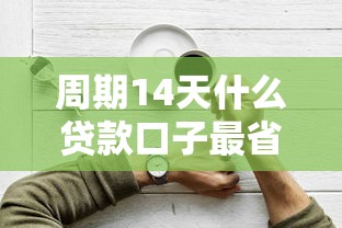 周期14天什么贷款口子最省心？实测攻略来了