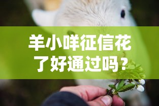 羊小咩征信花了好通过吗？真实用户经验分享