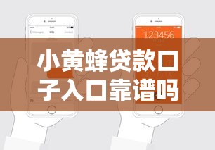 小黄蜂贷款口子入口靠谱吗？真实测评+申请流程全解析