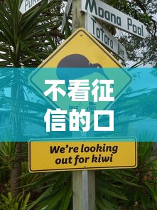 不看征信的口子还有吗？这5个渠道实测还能用