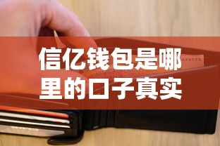 信亿钱包是哪里的口子真实背景大起底