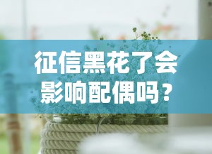 征信黑花了会影响配偶吗？这几点夫妻必看！