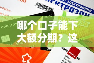 哪个口子能下大额分期？这几个渠道额度高、审核快！