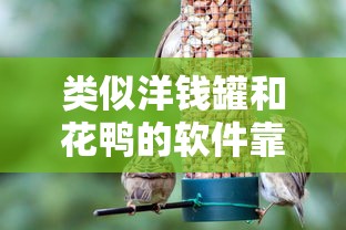 类似洋钱罐和花鸭的软件靠谱吗？5款真实测评帮你避坑