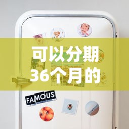 可以分期36个月的贷款平台有哪些？这5个正规渠道值得一试
