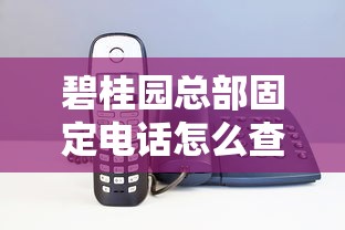 碧桂园总部固定电话怎么查？贷款咨询常见问题全解答
