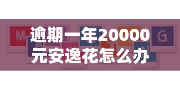 逾期一年20000元安逸花怎么办？3种处理方案实测
