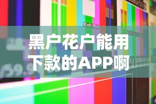 黑户花户能用下款的APP啊…这几个平台真的能下款！