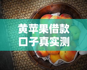 黄苹果借款口子真实测评！这5个细节一定要先看