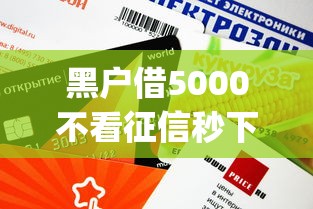 黑户借5000不看征信秒下款app有哪些？这3个平台审核快、额度高