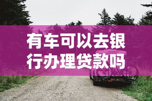 有车可以去银行办理贷款吗？老司机教你用爱车轻松借钱