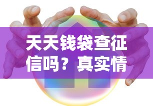 天天钱袋查征信吗？真实情况告诉你答案