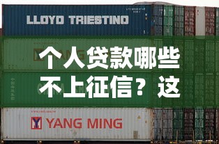 个人贷款哪些不上征信？这几种渠道或许能帮到你