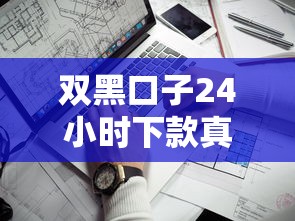 双黑口子24小时下款真的靠谱？实测3个关键避坑细节