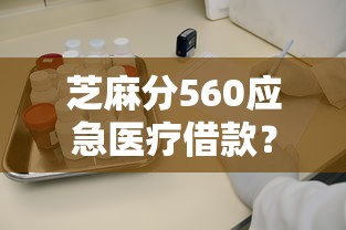 芝麻分560应急医疗借款？这5个平台审核快、到账稳！