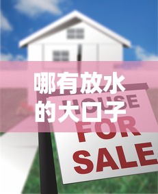 哪有放水的大口子？5个低门槛贷款平台真实测评+避坑指南