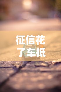 征信花了车抵押可以做吗？老司机给你掰扯明白
