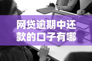 网贷逾期中还款的口子有哪些？老哥必看这3个实测方案