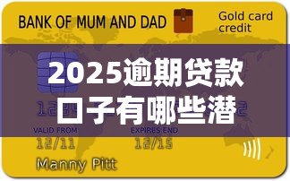 2025逾期贷款口子有哪些潜在风险？这几点千万要当心