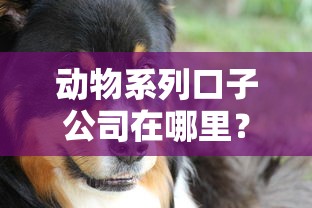 动物系列口子公司在哪里？这三招教你辨别正规贷款平台