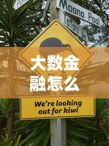大数金融怎么不上征信？这三点原因你一定要知道