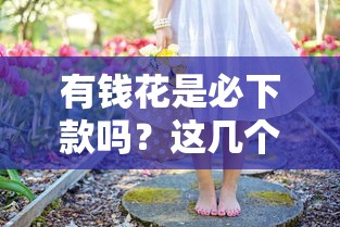 有钱花是必下款吗？这几个审核细节你得先摸清楚