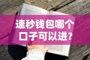 速秒钱包哪个口子可以进？实测3个官方入口和申请技巧