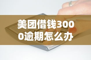 美团借钱3000逾期怎么办？这5个应对方法要记牢
