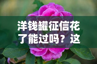 洋钱罐征信花了能过吗？这三点直接影响审批结果