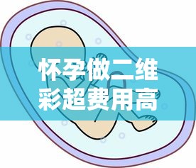 怀孕做二维彩超费用高？3个贷款方案解决产检压力