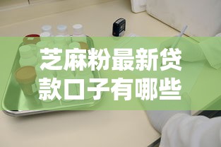 芝麻粉最新贷款口子有哪些？这3个靠谱渠道审批快、额度高